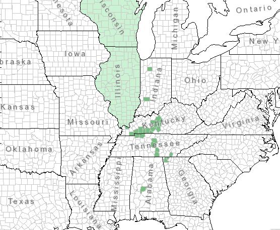 The range of Silphium pinnatifidum